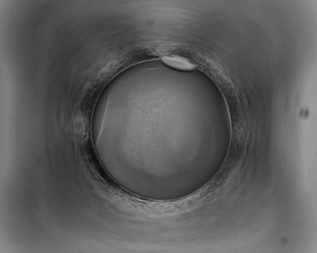 X0000101190031200806271327