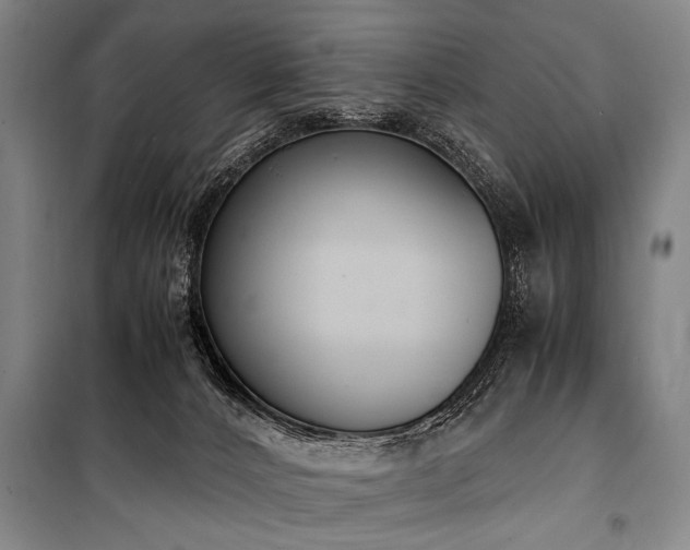 X0000101190032200806271327