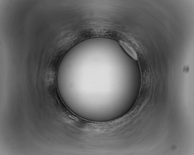 X0000101190033200806271327