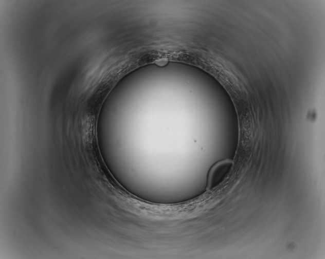 X0000101190034200806271327
