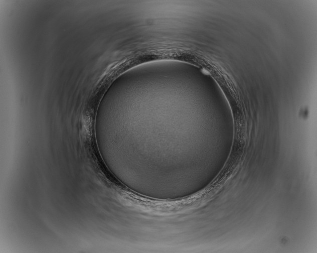 X0000101190035200806271327