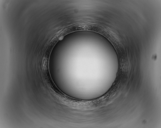 X0000101190036200806271327