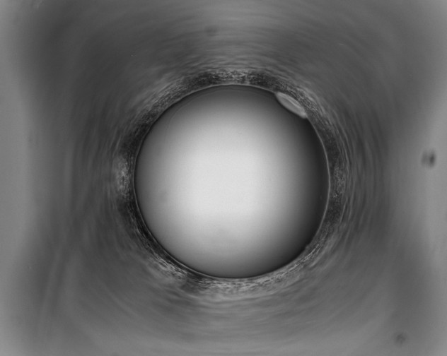 X0000101190037200806271327