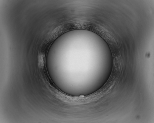 X0000101190038200806271327
