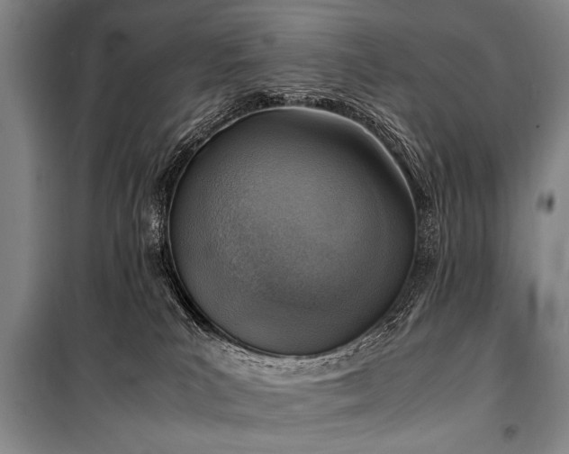X0000101190039200806271327