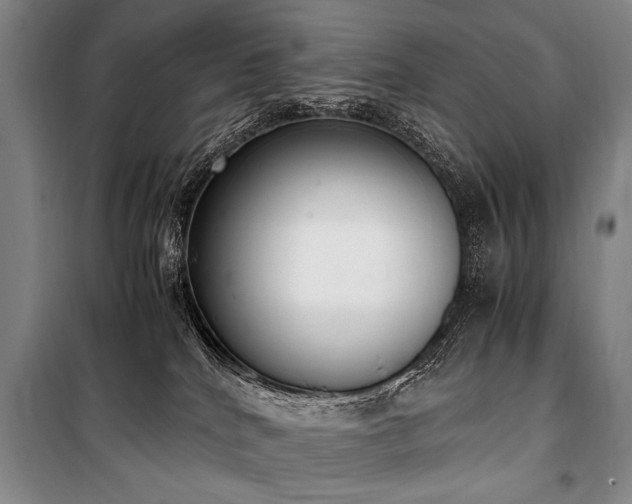 X0000101190040200806271327