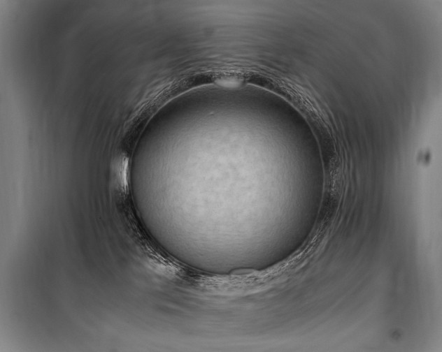 X0000101190041200806271327