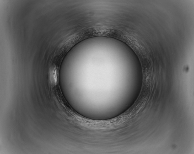 X0000101190042200806271327