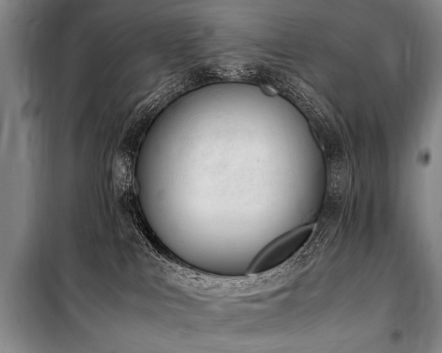 X0000101190043200806271327