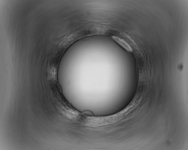 X0000101190045200806271327