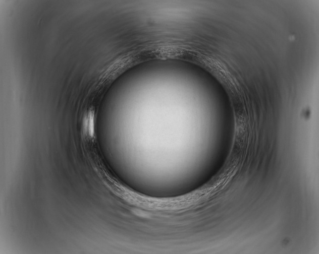 X0000101190046200806271326