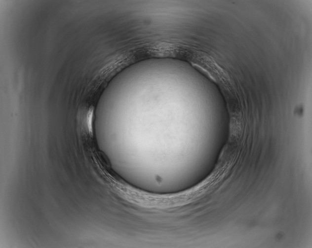 X0000101190047200806271326