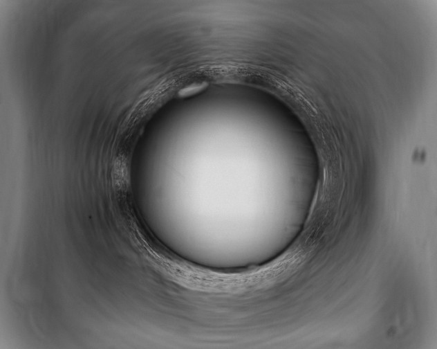 X0000101190048200806271326