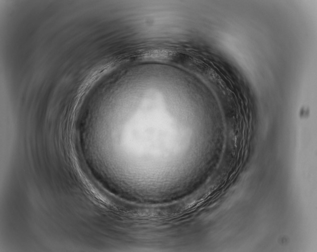 X0000101190049200806271326
