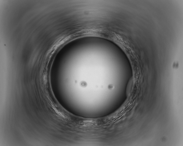X0000101190050200806271326