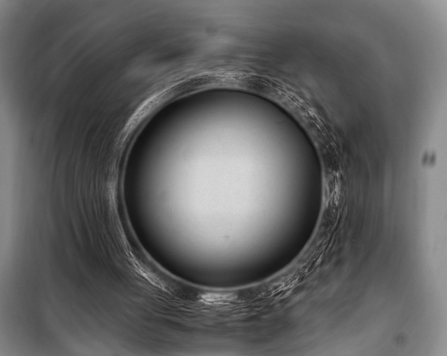 X0000101190051200806271326
