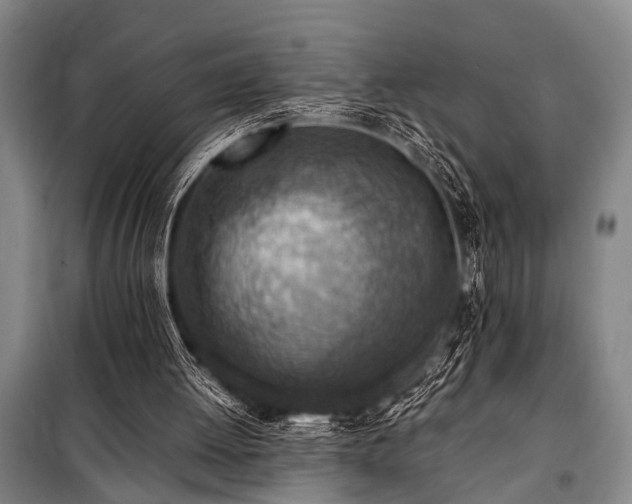 X0000101190052200806271326