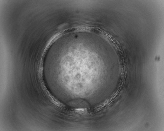 X0000101190053200806271326