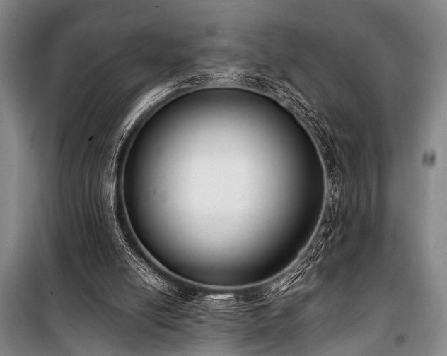 X0000101190054200806271326