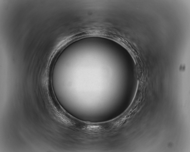 X0000101190055200806271326