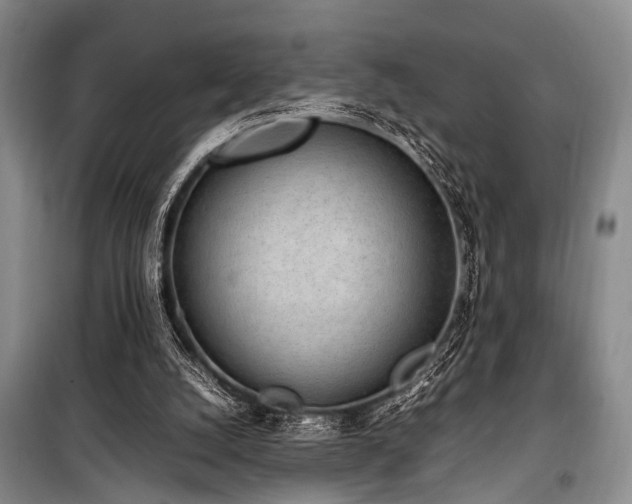 X0000101190056200806271326