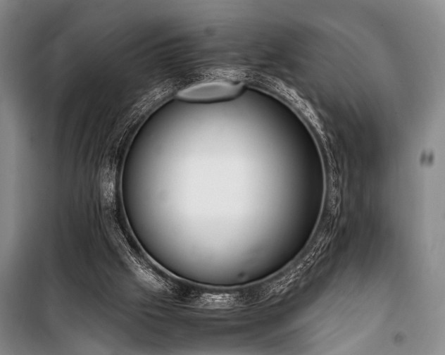 X0000101190057200806271326