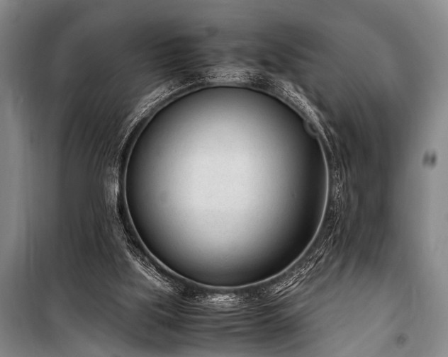 X0000101190059200806271326