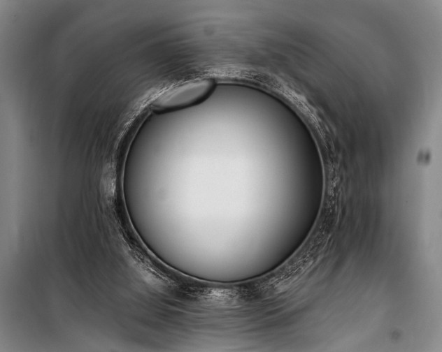 X0000101190060200806271326