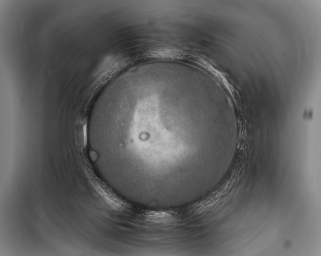 X0000101190061200806271326