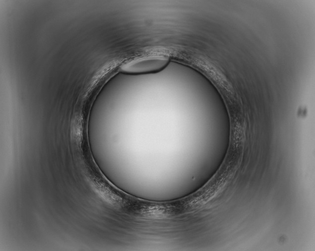 X0000101190064200806271326