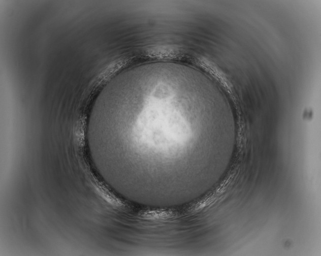 X0000101190065200806271326
