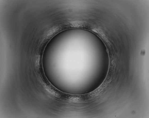 X0000101190066200806271326