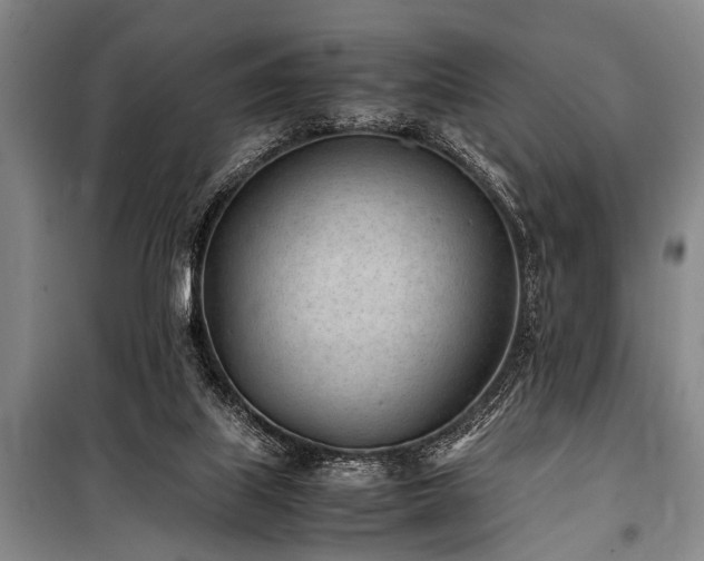 X0000101190067200806271326