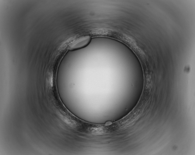 X0000101190068200806271326