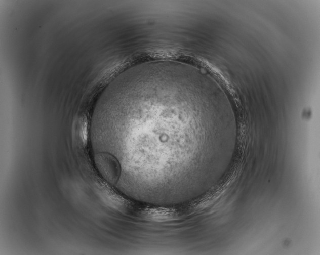 X0000101190069200806271326