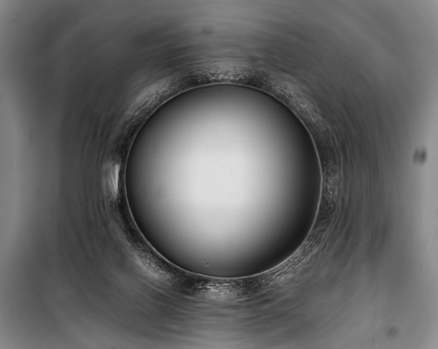 X0000101190070200806271326
