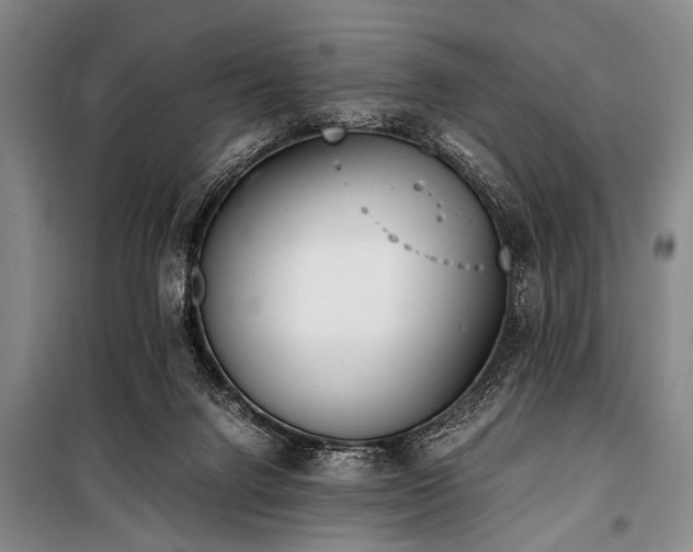 X0000101190072200806271326