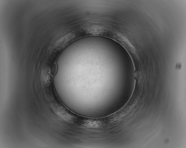 X0000101190073200806271326