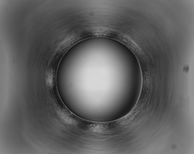 X0000101190074200806271326