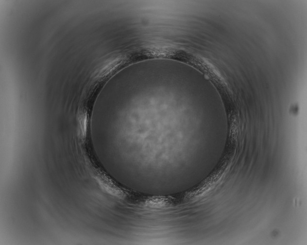 X0000101190076200806271326