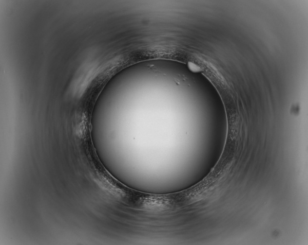 X0000101190077200806271326