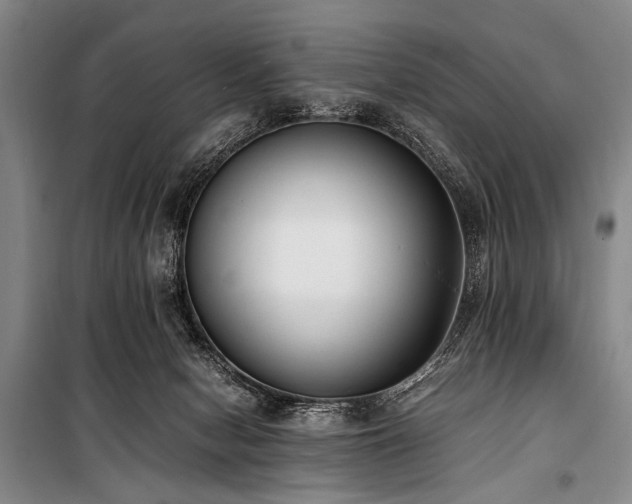 X0000101190078200806271326