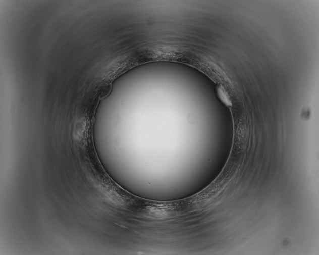 X0000101190079200806271326