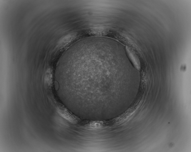 X0000101190080200806271326