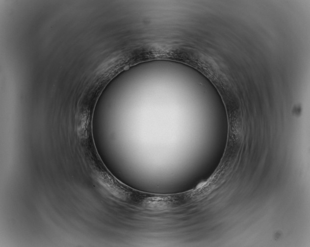 X0000101190082200806271326