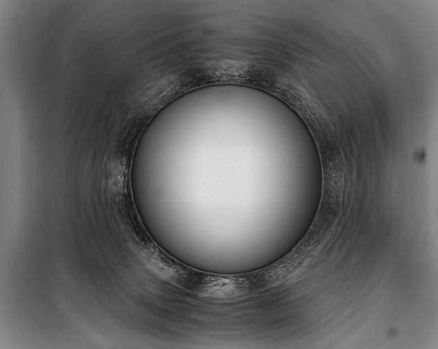 X0000101190083200806271326