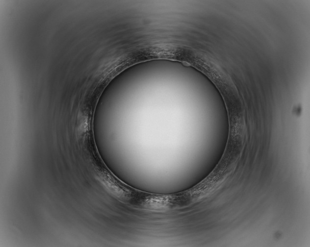 X0000101190084200806271326