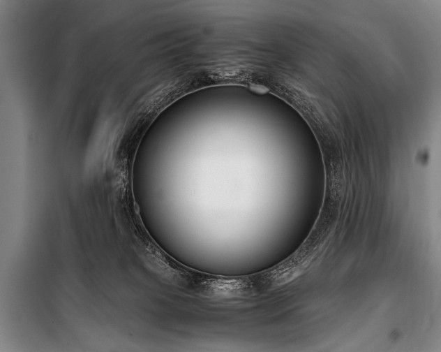 X0000101190085200806271326