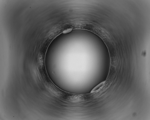 X0000101190086200806271326
