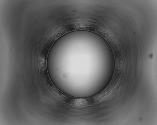 X0000101190087200806271326